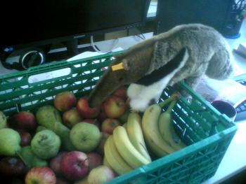 Andy eating fruits